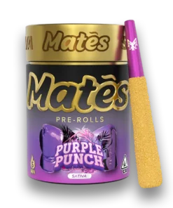 PURPLE PUNCH | SATIVA